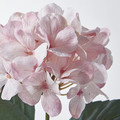 SMYCKA Artificial flower, in/outdoor/Hydrangea light pink, 45 cm