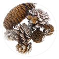 Craft Decoration Set with Pine Cones 7pcs