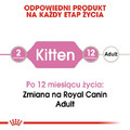 Royal Canin Kitten Instinctive Cat Wet Food in Jelly 85g