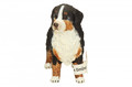 Schleich Bernese Mountain Dog 3+