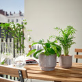 HONUNGSPALM Plant pot, in/outdoor/grey/beige, 12 cm