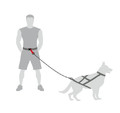 Dingo Belt for Running with Dog, 4 variants