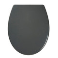 Cooke & Lewis Duroplast Soft-close Toilet Seat Diani, grey