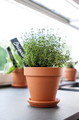 Plant Pot In/outdoor Laleh 35cm, terracotta