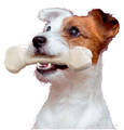 Ferplast GoodBite Natural Dog Chewing Toy SinglePack Chicken S 40g