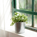 ÅKERBÄR Plant pot, in/outdoor/galvanised, 9 cm