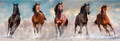 Clementoni Jigsaw Puzzle Panorama Horses 1000pcs 10+