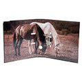 Lever Arch File A4/7cm, Horses