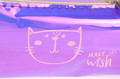 Pencil Case Glance Cat