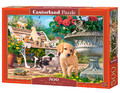 Castorland Jigsaw Puzzle Hide and Seek 500pcs 9+