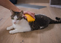 Fiboo Soft Cat Brush, yellow