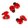 Magnets Ladybug 6pcs