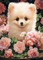 Castorland Children's Puzzle Pomeranian Puppy in Roses 60pcs 5+