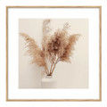 Picture Set Plates & Dried Plants 30 x 30 cm 4-pack