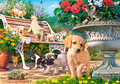 Castorland Jigsaw Puzzle Hide and Seek 500pcs 9+