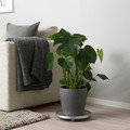 PERSILLADE Plant pot, dark grey, 19 cm