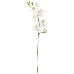 SMYCKA Artificial flower, Orchid, white, 60 cm