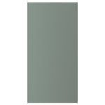 BODARP Door, grey-green, 60x120 cm