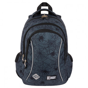 School Backpack Spider 26x39x12