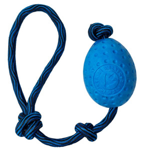 Kiwi Walker Let's Play Dog Toy Egg, blue