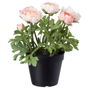 FEJKA Artificial potted plant, indoor/outdoor, Ranunculus, pink, 12 cm