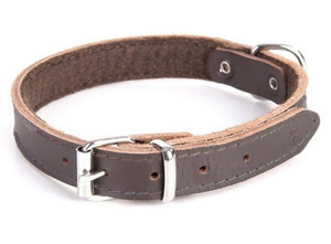 Dingo Leather Collar 2.2x60cm, brown