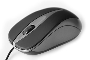 Optical mouse 800 cpi, 3 buttons + scrolling wheel, USB interface, color SILVER