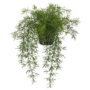 FEJKA Artificial potted plant, in/outdoor Asparagus/hanging, 12 cm