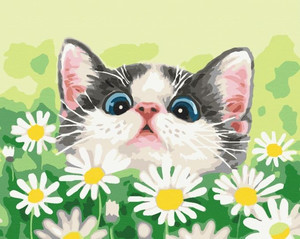 Symag Painting by Numbers Cat in Daisies 14+