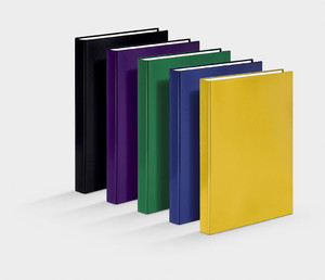 Ring Binder A4 2cm 2 Rings 1pc, purple