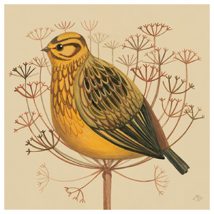 PJÄTTERYD Picture, yellowhammer, 40x40 cm