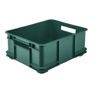 GoodHome Storage Container Box Ando L 20.5 l, green