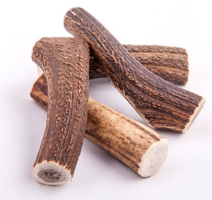 4DOGS Natural Dog Chew from Discarded Antlers, L Hard 1pc