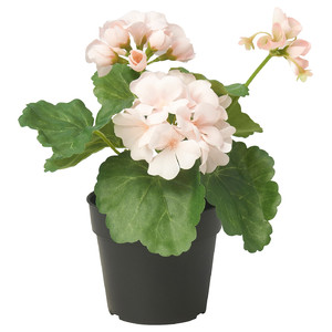 FEJKA Artificial potted plant, in/outdoor/Geranium light pink, 9 cm