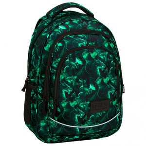 School Backpack 30x42x20 Dragon Legend