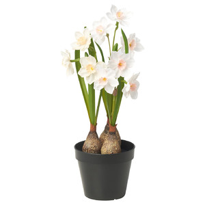 FEJKA Artificial potted plant, in/outdoor/Daffodil white, 12 cm