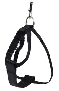 CHABA Dog Harness/Seat Belt Size S