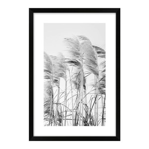 Picture Dried Plants Black & White 60 x 90 cm