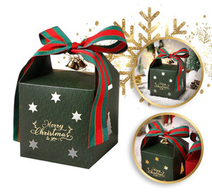 ECARLA Christmas Box, green