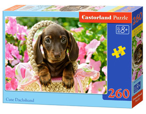 Castorland Children's Puzzle Cute Dachshund 260pcs 8+