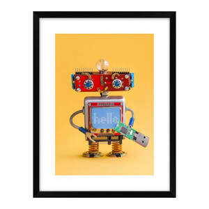 Picture Robot with Remote 30 x 40 cm