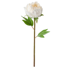 SMYCKA Artificial flower, Peony, white, 30 cm