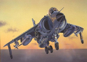 Italeri Plastic Model FRS.1 Sea Harrier 14+