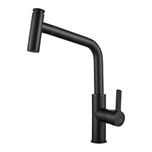 Laveo Sink Mixer Tap with pull-out spout Avila, black