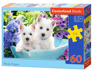 Castorland Children's Puzzle Westie Puppies 60pcs 5+
