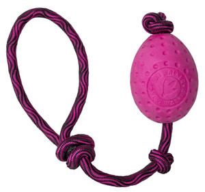 Kiwi Walker Let's Play Dog Toy Egg, pink