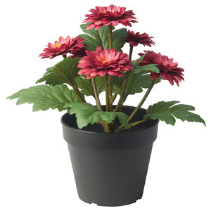 FEJKA Artificial potted plant, in/outdoor Chrysanthemums, 12 cm