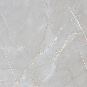 Gres Floor/Wall Tile Voramar 60 x 60 cm, silver, 1.44 sqm