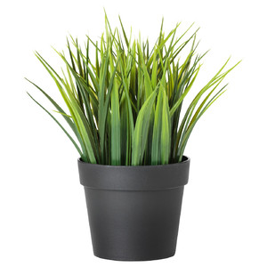 FEJKA Artificial potted plant, indoor/outdoor, grass, 9 cm