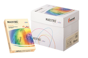 Maestro Colour Paper for Laser, Inkjet Printers & Copiers A4 80g 500 Sheets, grey